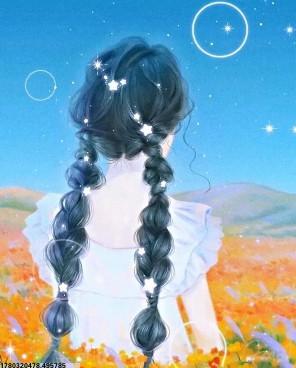 戴维·奥格登·施蒂尔斯